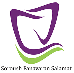 logo fan250